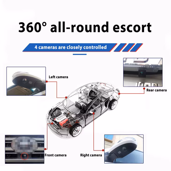 Sensore di parcheggio per auto/Sensore di backup/Sensore di retromarcia/Sensore di parcheggio per camion